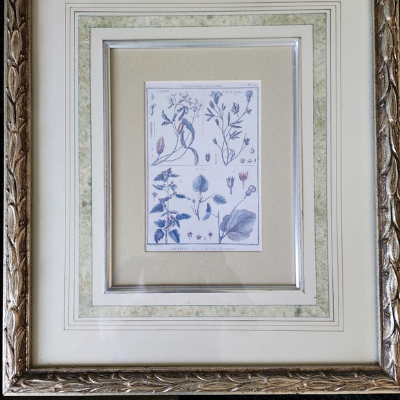 3 vintage Botanical framed prints - Picture 7 of 12
